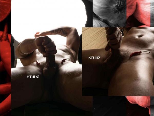 STUDZ-01--Zesty--Ebook--Video-